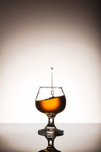 從土地到餐桌 農(nóng)業(yè)循環(huán)中的食物、營養(yǎng)與酒精飲料